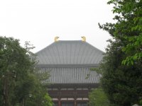 IMG_0661.JPG